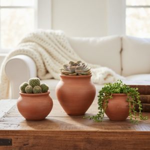 tinajas pequeñas de barro como macetas para plantas como por ejemplo cactus y suculuentas
