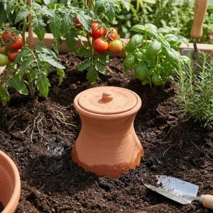 olla autorriego de barro instalada en jardín